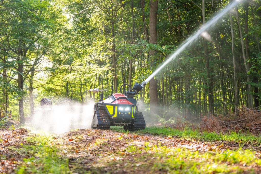 Ein Wolf R1 mit Wasserstrahl im Gegenlicht auf einem Waldweg